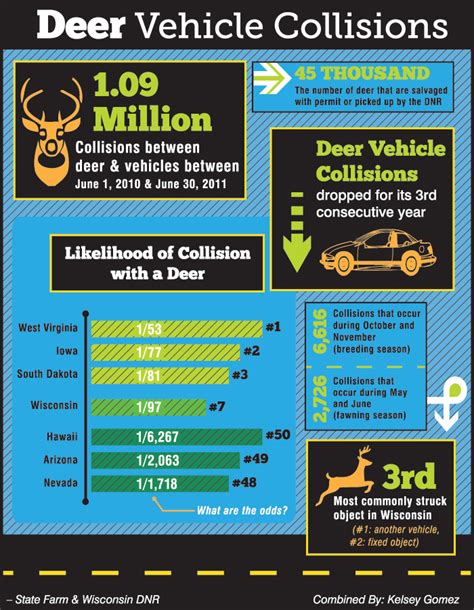 INFOGRAPHIC: Deer Vehicle Collisions