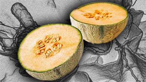 Cantaloupe recall: Salmonella outbreak leaves dozens ill or hospitaliz