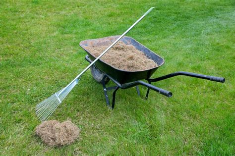 How To Use a Dethatching Rake