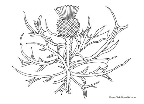 Scottish Thistle Drawing at GetDrawings | Free download