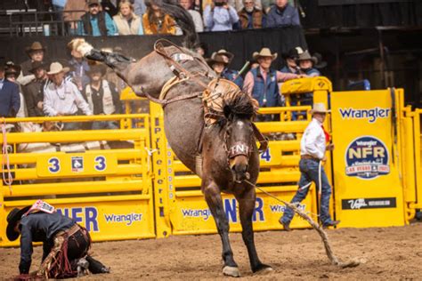 Guide to the 2023 Wrangler National Finals Rodeo - Men's Journal | Rodeo