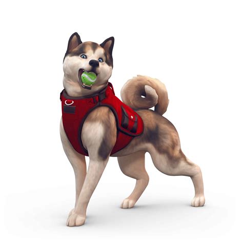 The Sims 4 Cats & Dogs: New Screens and Renders