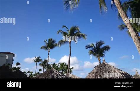 Hyatt resort aruba Stock Videos & Footage - HD and 4K Video Clips - Alamy