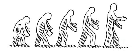 Human Evolution Concept Drawing Drawing by Frank Ramspott