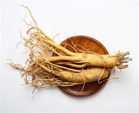 American Ginseng: Calms The Mind, Boost Beauty + Helps Us Adapt