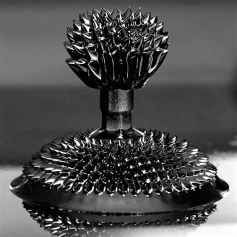 Ferrofluid Magnetic Liquid 10 ml - Magnets By HSMAG