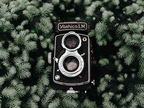 Download wallpaper 1400x1050 camera, retro, branches, vintage, needles ...