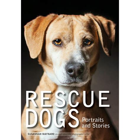 Rescue Dogs : Portraits and Stories (Paperback) - Walmart.com - Walmart.com