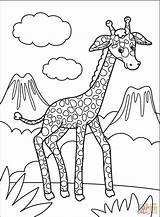 Girafă De colorat  Desene Gratis sketch template
