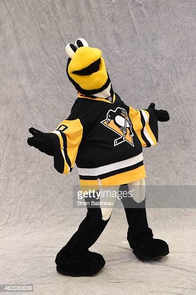 Mascot Iceburgh of the Pittsburgh Penguins poses for a portrait... News ...