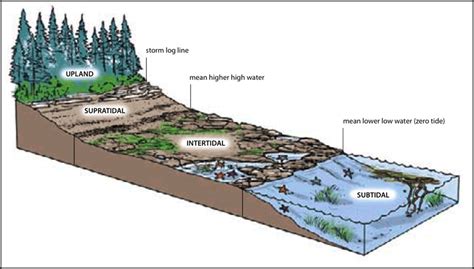 Unit 6: Ecology