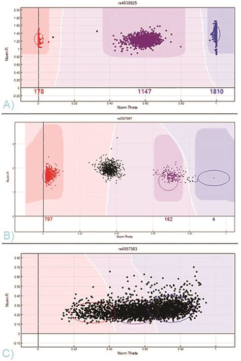 Infinium Assay for Large-scale SNP Genotyping Applications (Video) | JoVE