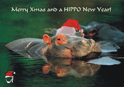 The Haphazardous Hippo: Hippo Christmas!!!!