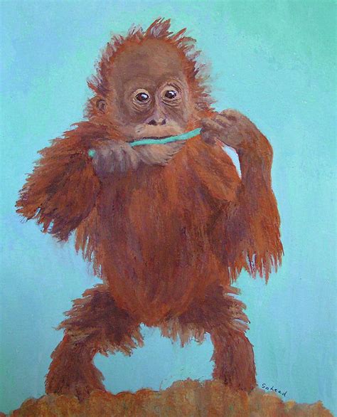 Baby Orangutan Playing Photograph by Margaret Saheed - Fine Art America