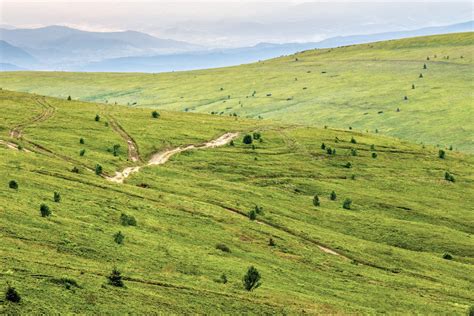 mountain path uphill to the sky Free Photo Download | FreeImages