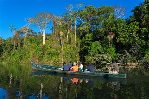 Tambopata National Reserve wildlife location in Peru, Latin America ...