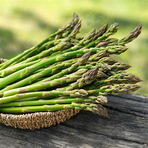 Asparagus- Mary Washington (Crown) | The Seed Collection