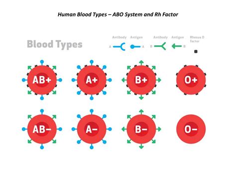 Chart 2018- Human Blood Types