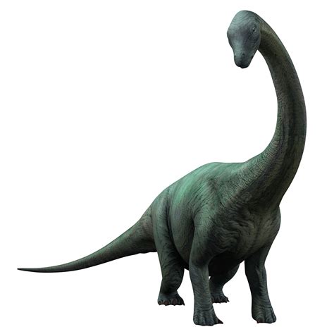 Apatosaurus | Jurassic World Alive Wiki - GamePress