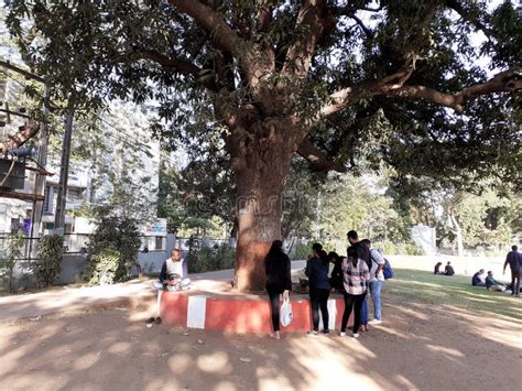 People Gather Near the Tree in the Park Editorial Photo - Image of fornt, temple: 170587951