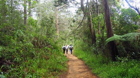 Parque Arví de Medellín - 🌲 Horario, Tarifas y precios.