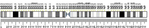 Transferrin - Wikipedia