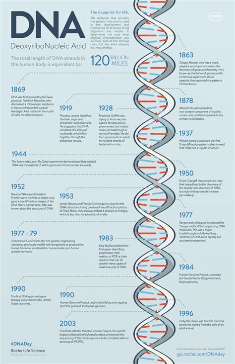 11 best Heredity timeline images on Pinterest | Life science, Physical science and Dna history