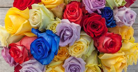 What Do The Colors of Roses Mean? | Bouqs Blog