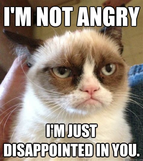 i'm not angry I'm just disappointed in you. - Not Amused Grumpy Cat ...