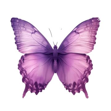 Purple Gradient Butterfly, Butterfly, Gradient, Colorful PNG Transparent Image and Clipart for ...