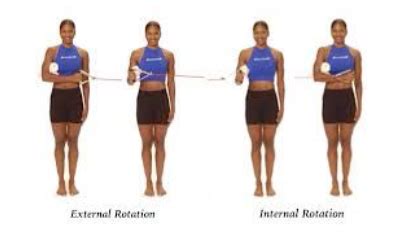 external-internal-shoulder-rotation - ProActive Physical Therapy