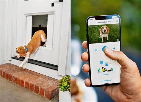 This just might be the world's first smart dog door... | Smart dog door, Smart dog, Dog door