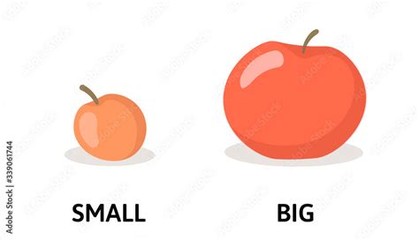 Words small and big opposites flashcard with red apples. Opposite ...