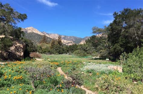 Santa Barbara Botanic Garden Day Trip Connect With Nature
