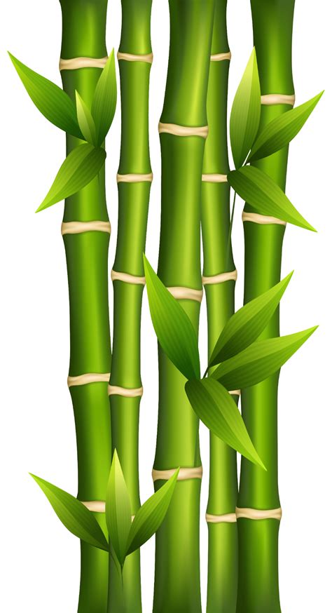 Bamboo clipart 2 | تابلو in 2019 | Bamboo art, Bamboo drawing, Bamboo ...