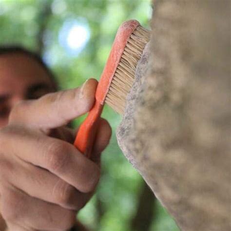 Boars Hair Rock Climbing Bouldering Brush Home Supplies Household ...
