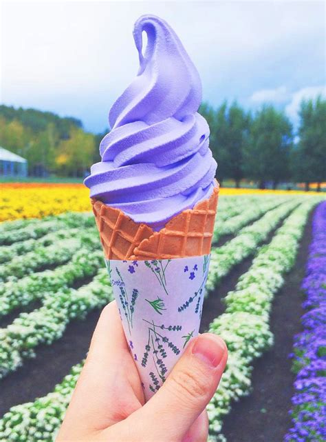 Lavender fields and lavender ice cream in Hokkaido, Japan. Credit: ig ...