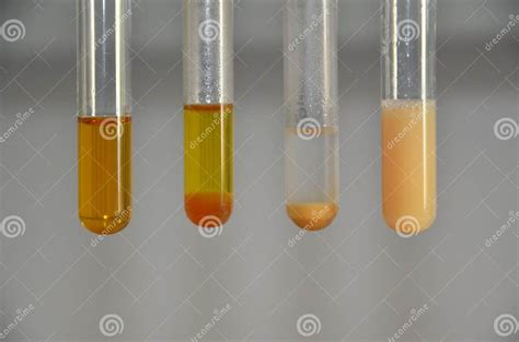 Chemical Mixtures Show Different Reactions Stock Image - Image of ...