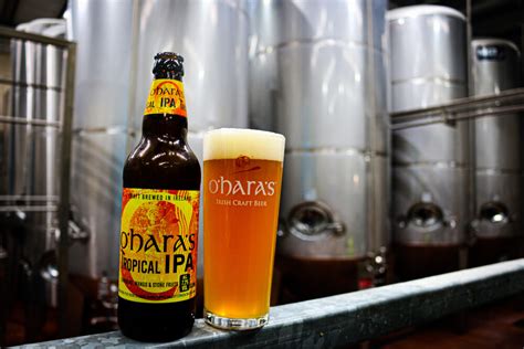 Introducing Tropical IPA - O'Hara's | Carlow Brewing Company