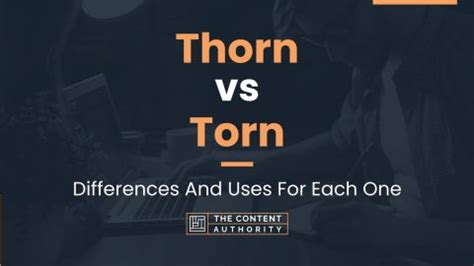 Thorn vs Torn: Differences And Uses For Each One