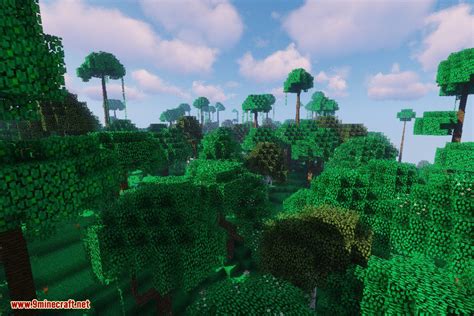 Dynamic Trees Biomes O' Plenty Compat Mod (1.21.1, 1.20.1) - 9Minecraft.Net