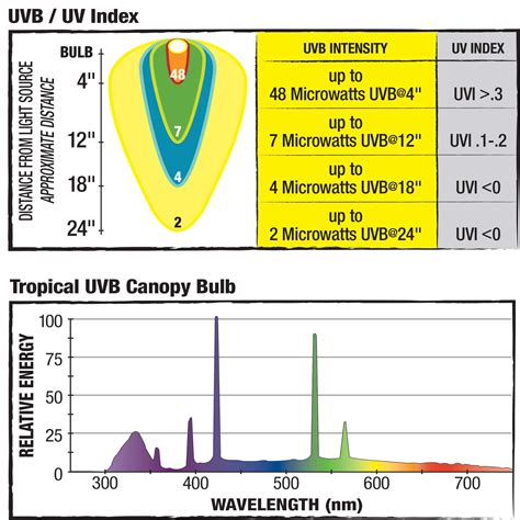 Canopy Series Fluorescent UVB/UVA Bulbs | Lighting & Heating | Zilla