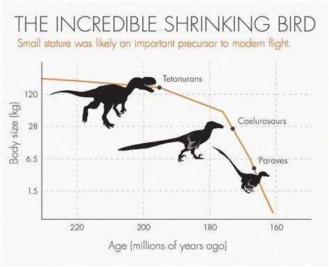 Is it true that dinosaurs were the ancestors of birds? This is the ...