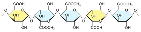 Pectin E440 Gelling agent: High methoxyl pectin & Low methoxyl pectin