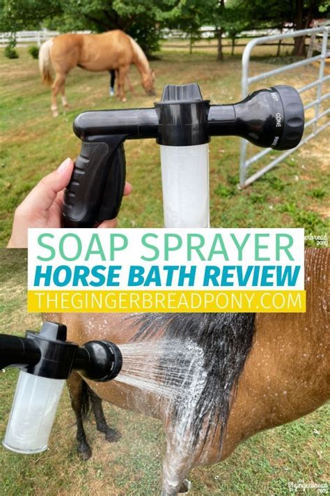 Pet Bath Sprayer Review: Willcrew Soap Hose Shower for Horse Bathing | Sprayers, Horses, Soap