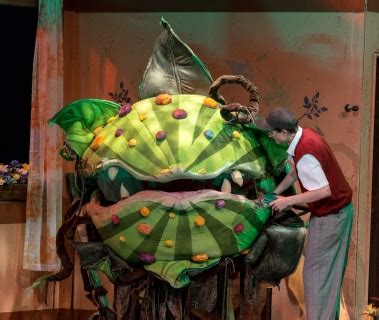 Audrey 2 Puppet Rental (SHIPPING AVAILABLE): Little Shop of Horrors ...