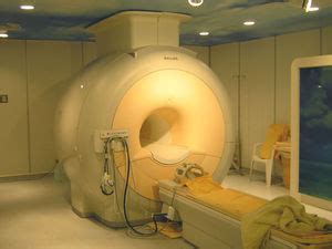 Micro MRI | Science News