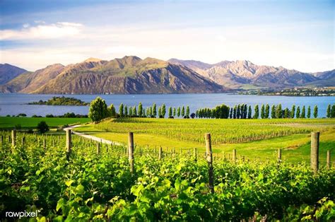 Download premium photo of Beautiful countryside in New Zealand. 76587 | Mode shop