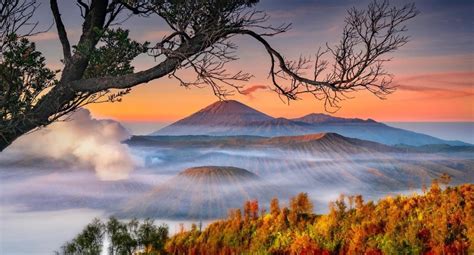 Lokasi wisata Bromo Arsip - Traveling.co.id