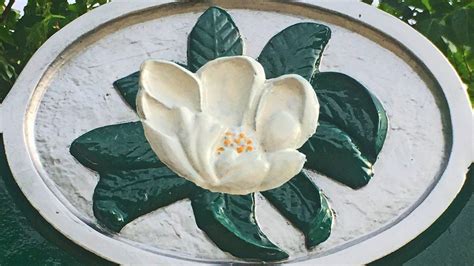 Petition · Magnolia Flower Flag for Mississippi · Change.org